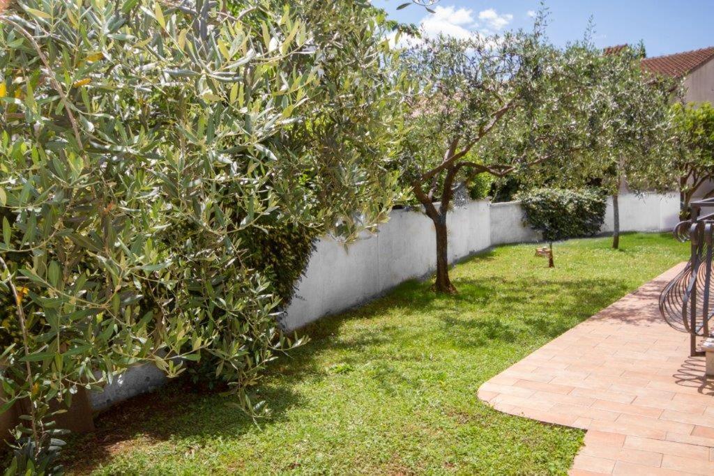 روفينج Villa Sveta Eufemija Bed End Breakfast I المظهر الخارجي الصورة