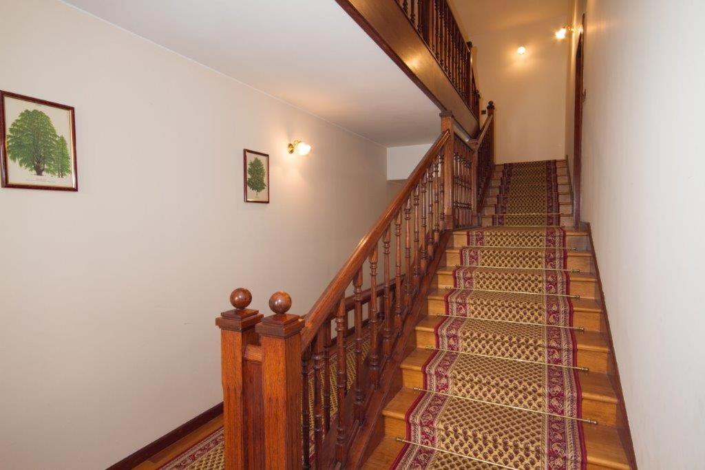 روفينج Villa Sveta Eufemija Bed End Breakfast I المظهر الخارجي الصورة